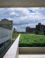 Pulitzer Building, roof garden: Pulitzer Arts Foundation. Photograph: Robert Pettus.