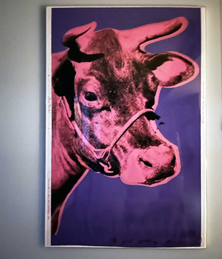 Andy Warhol, Fuchsia cow. Lithograph. Private collection.