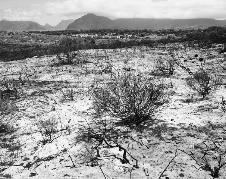 John Riddy, Peninsula (Ocean View 5), 2015. Archival pigment print, 18 x 23 cm. © John Riddy, courtesy Frith Street Gallery.