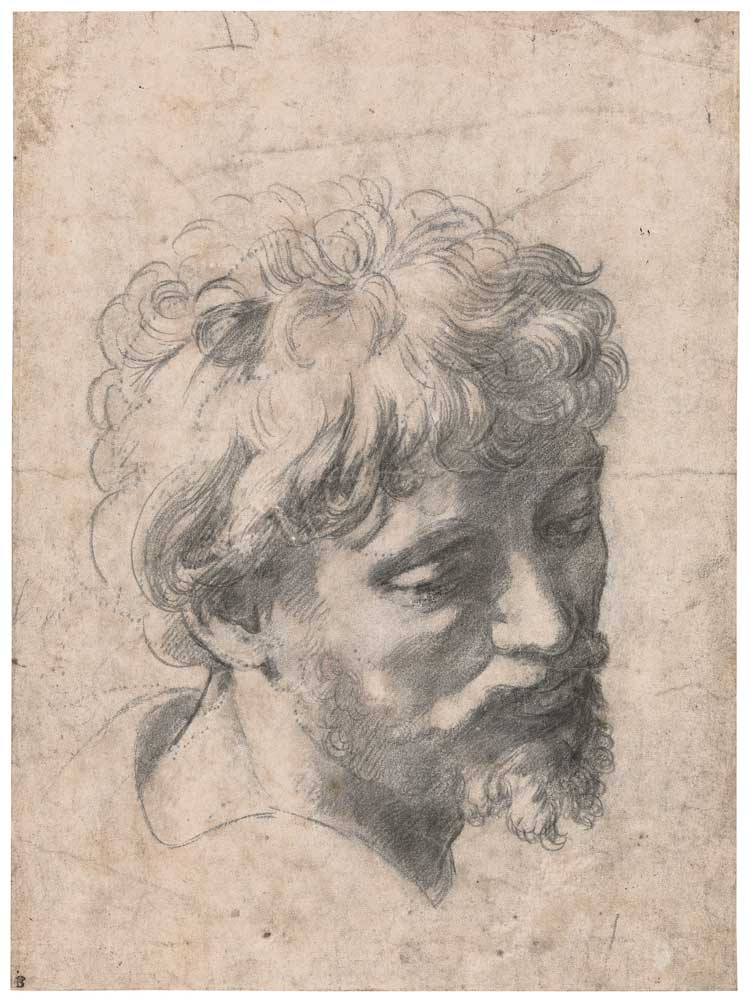 Raphael, Study for the Head of an Apostle in the Transfiguration. Private Collection, New York. © Private Collection.