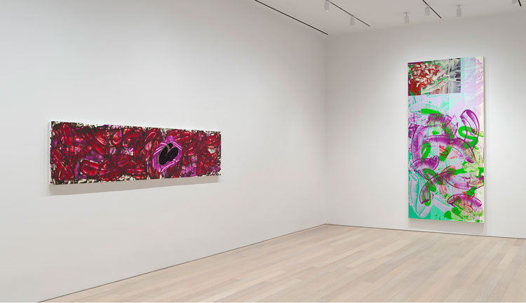 David Reed: New Paintings, 2019, installation view. Artwork © 2020 David Reed/Artists Rights Society (ARS), New York. Photo: Rob McKeever. Courtesy Gagosian.