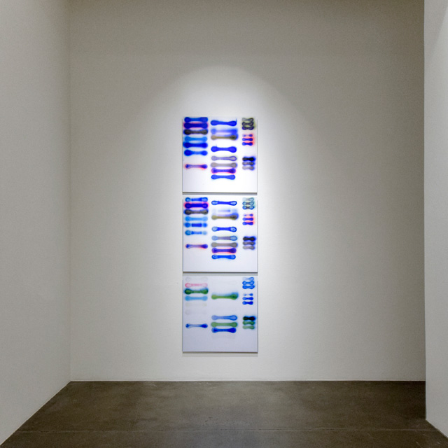 Jaq Chartier. Suntest #6 (Day 1, 6, 59). Dye sublimation on aluminum, 115 x 37 in. Installation view, Suntest, Robischon Gallery 2019, Image courtesy Robischon Gallery