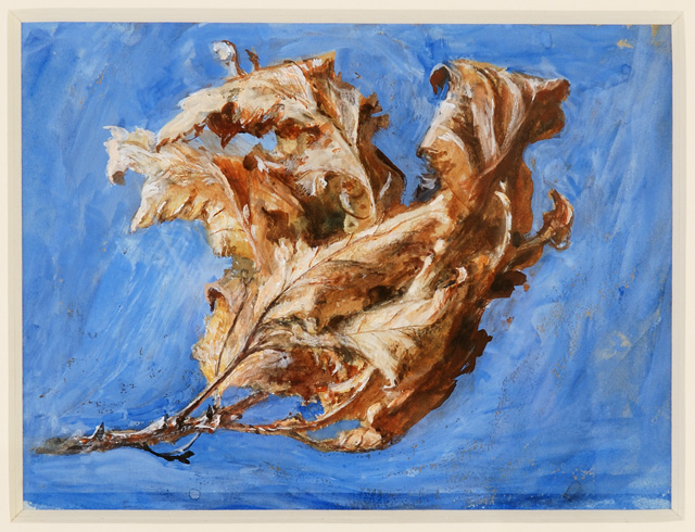 John Ruskin. Study of Spray of Dead Oak Leaves, 1879. Watercolour and bodycolour on paper. © Collection of the Guild of St George / Museums Sheffield.