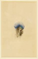 John Ruskin. Study of a Peacock’s Breast Feather, 1873. Watercolour on paper. © Collection of the Guild of St George / Museums Sheffield.