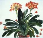 Elizabeth Blackadder DBE RA, Clivia. Watercolour 70 x 80 cm