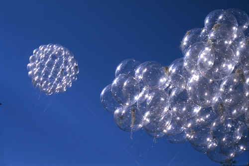 Tomas Saraceno.      <em>Flying Garden </em>(detail), 2006. Courtesy the artist and Tanya Bonakdar Gallery, New York.