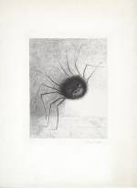 Odilon Redon. <em>The Spider</em> 1887. Lithograph on chine appliqué. Composition: 11 x 8 9/16 in. Sheet: 20 7/8 x 15 1/4 in. Publisher: probably the artist, Paris (distributed by L Dumont, Paris). Printer: Lemercier, Paris Edition: proof outside the edition of 25. The Musuem of Modern Art, New York, Mrs Bertram Smith Fund, 1956.
