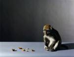 Olivier Richon. <em>Portrait of a monkey with nuts</em>, 2008. C-type print, 91 x 115 cm.