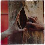 Alberto Baraya (b1968). Corte (Cutting) from Proyecto del árbol de caucho (Rubber tree project), 2008. Colour photograph. Courtesy of the artist.