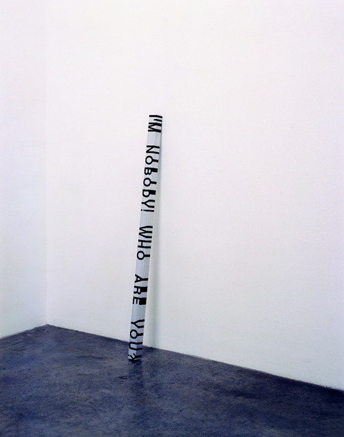 Roni Horn. Key and Cue, No. 288 (I’m nobody! Who are you?), 1994/2003. Aluminium and solid cast plastic, 2 x 51 x 2 inches. Courtesy Hauser and Wirth, Zurich and London.