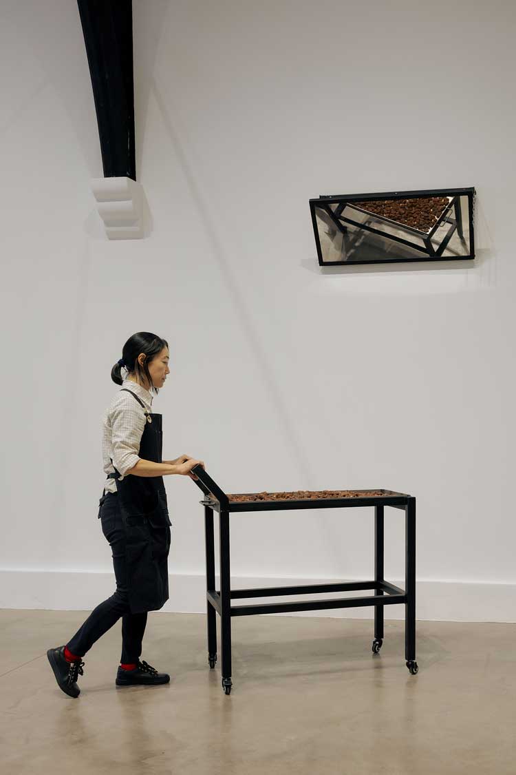 Aki Sasamoto, Grilled Diagrams, 2026. Installation view, Studio Voltaire, 2026. Commissioned and produced by Studio Voltaire. Image courtesy of the artist, Bortolami Gallery, Take Ninagawa and Studio Voltaire. Photo Sarah Rainer.