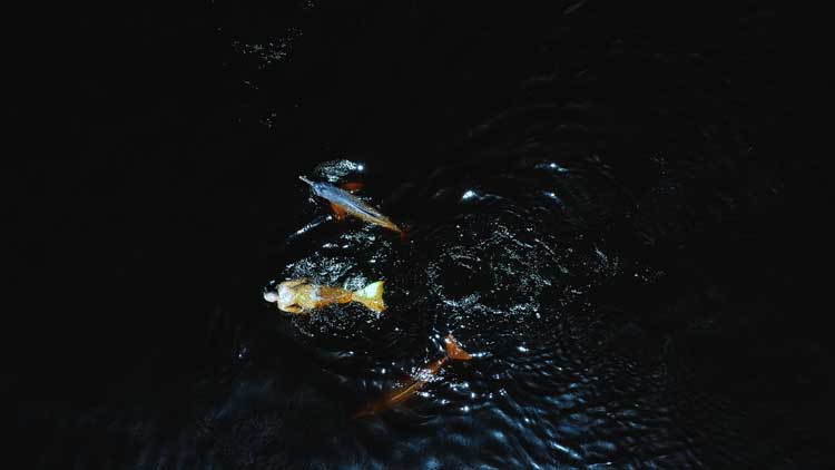 Emilija Škarnulytė, still from Æqualia 2023. Courtesy of the artist.