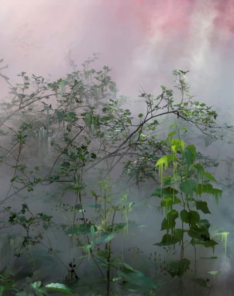 Sandra Kantanen, Forest 21, 2021. Pigment print, 56 x 46 cm. © the artist.