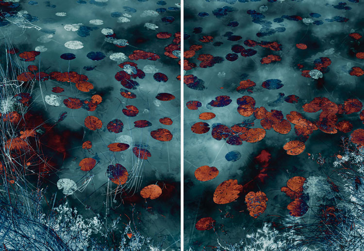 Santeri Tuori, Water Lilies, 2019. Pigment print, diptych each work 195.7 x 138.4 cm. © the artist.