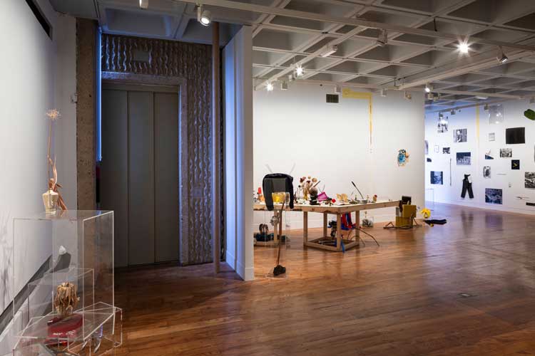 Assembly, Margaret Salmon, The Hunterian, 2025. Photo: Ruth Clark.