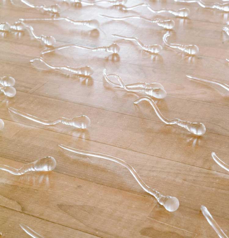Kiki Smith, Sperm piece, 1991. Photo: Albin Dahlström / Moderna Museet. Courtesy PaceWaldenstein, New York.