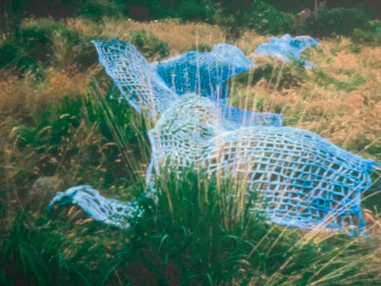Lily Van Oost. Installation view, Galway Arts Centre, TULCA Festival, Galway. Photo: Bronac Ferran.