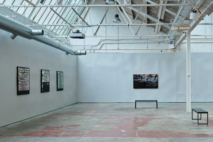 Catriona Leahy, Bog Thing*: Assembly* for the Symbiocene. Installation view, Printworks, TULCA Festival, Galway. Photo: Ros Kavanagh.