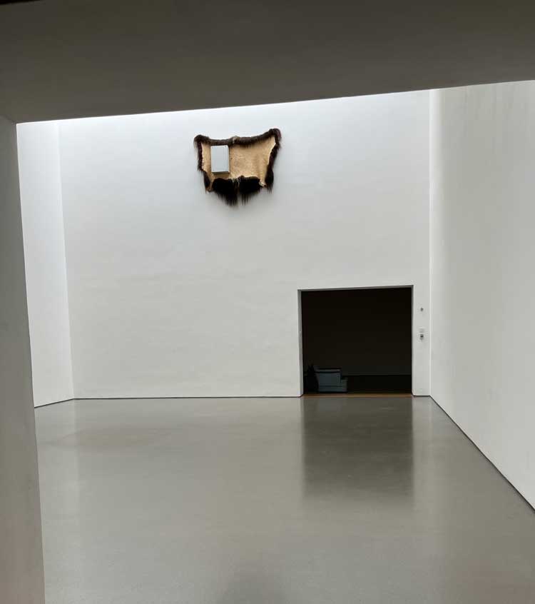 Michael E Smith, Untitled, 2023. First aid cabinet, hide. Installation view, Henry Moore Institute, Leeds. Photo: Veronica Simpson.
