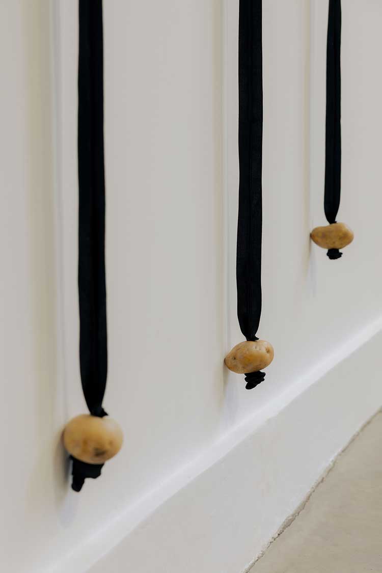 Aki Sasamoto, Grilled Diagrams, 2026. Installation view, Studio Voltaire, 2026. Commissioned and produced by Studio Voltaire. Image courtesy of the artist, Bortolami Gallery, Take Ninagawa and Studio Voltaire. Photo Sarah Rainer.