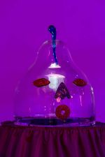 Rae-Yen Song: Tua Mak, installation view, Tramway, Glasgow, 15 November 2025 – 16 August 2026. Photo: Keith Hunter.