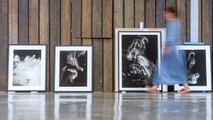 With 11 artists and more than 100 works, the wonders of the natural world are stunningly brought to life in this year’s Space to Breathe summer art exhibition, in collaboration with Purdy Hicks Gallery