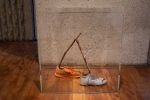 Assembly, Margaret Salmon, The Hunterian, 2025. Photo: Ruth Clark.