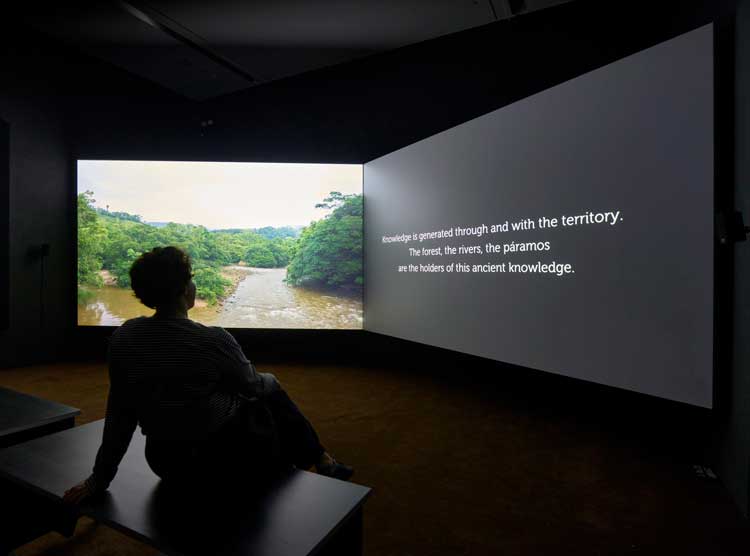 Ursula Biemann’s film Vocal Cognitive Territory, 2022. Photo: Veronica Simpson.