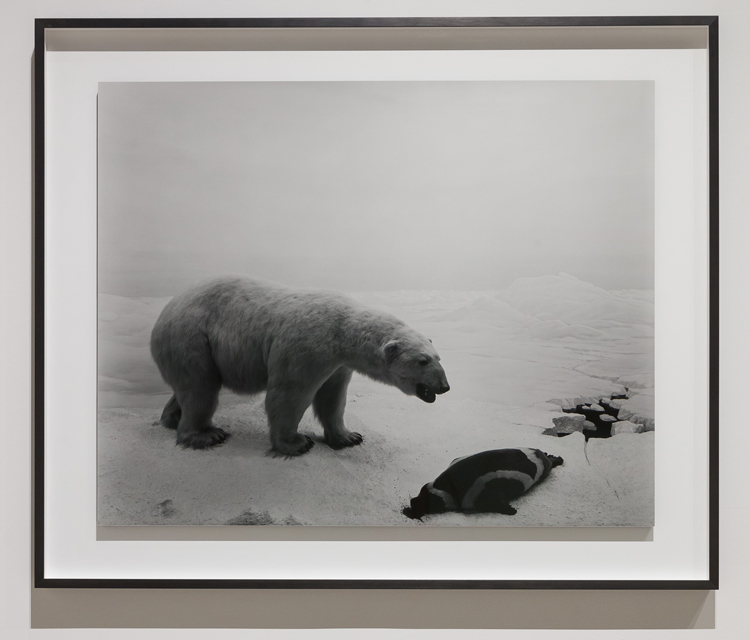 Hiroshi Sugimoto