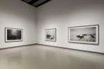 Hiroshi Sugimoto, Dioramas. Silver gelatin prints. Installation view. Photo: Mark Blower. Courtesy the artist and the Hayward Gallery.