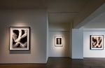 Hiroshi Sugimoto: Playing With Fire, installation view, Gallery Koyanagi, Ginza, Tokyo. ©︎ Sugimoto Studio.