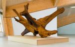 Ai Weiwei, Fly, 2019. Iron, cast from giant tree root sourced in Brazil. Image courtesy Eden Project.