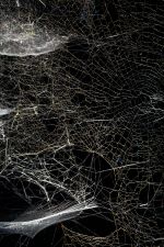 Tomás Saraceno, Webs of At-tent(s)-ion (detail), 2020. Seven spider frames, spider silk, carbon fibers, lights. Dimensions variable. Artwork © Studio Tomás Saraceno. Photo: Nicholas Knight. Courtesy the artist; spider/webs; Tanya Bonakdar Gallery, New York/Los Angeles; and Neugerriemschneider, Berlin. Photo courtesy The Shed.