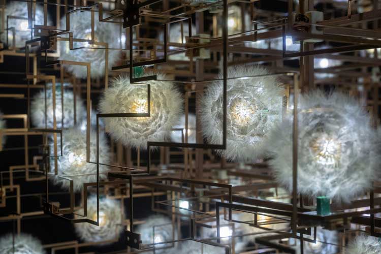 Studio Drift. Fragile Future III, 2005. Light sculpture, phosphor bronze, dandelions, LED, electronics. Photo: Henning Rogge.