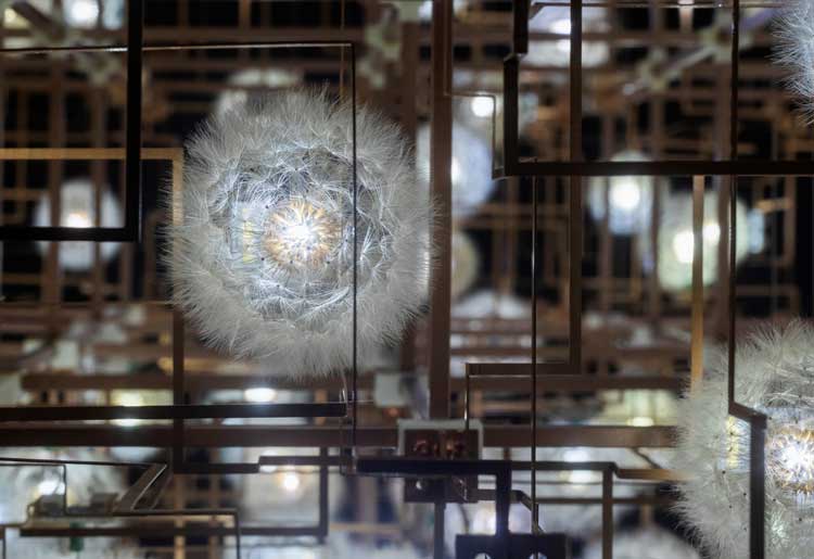 Studio Drift. Fragile Future III, 2005. Light sculpture, phosphor bronze, dandelions, LED, electronics. Photo: Henning Rogge.