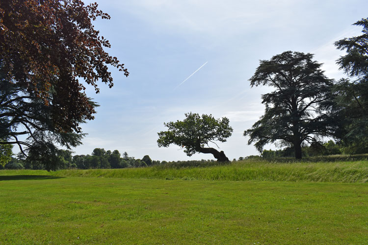 Blenheim Park and Gardens, landscaped by Capability Brown, provide the backdrop for Tino Sehgal’s performance pieces, which he does not allow to be photographed. Image courtesy of Blenheim Art Foundation.