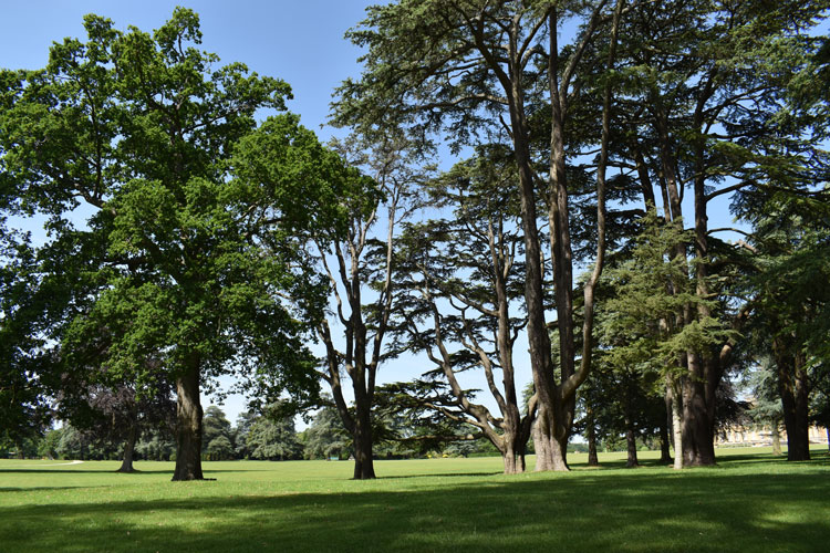 Blenheim Park and Gardens, landscaped by Capability Brown, provide the backdrop for Tino Sehgal’s performance pieces, which he does not allow to be photographed. Image courtesy of Blenheim Art Foundation.