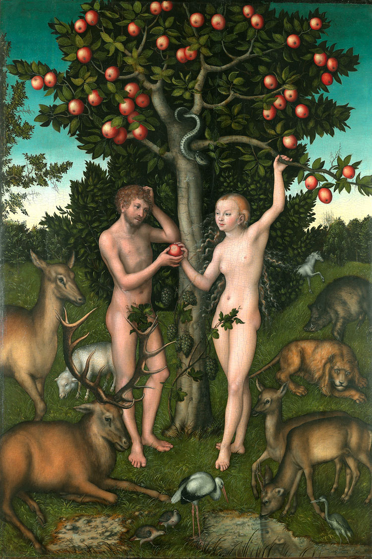 Lucas Cranach the Elder, Adam and Eve, 1526. Oil on wood, 117.1 x 80.8 cm. On loan from The Samuel Courtauld Trust, The Courtauld Gallery, London. © The Samuel Courtauld Trust, The Courtauld Gallery, London.