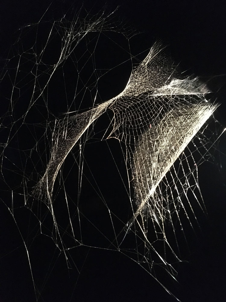 Tomás Saraceno. Webs of At-tent(s)ion, 2018. Installation view, Palazzo Strozzi, Firenze. Photo: Veronica Simpson.