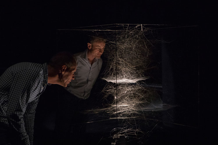 Tomás Saraceno. Webs of At-tent(s)ion, 2018. Installation view at ON AIR, carte blanche exhibition to Tomás Saraceno, Palais de Tokyo, Paris, 2018. Courtesy of the artist and Esther Schipper, Berlin. © Photo: Studio Tomás Saraceno, 2018.