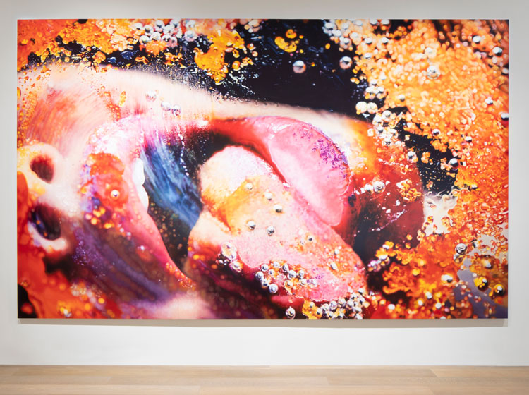 Marilyn Minter. Orange Crush, 2009. Enamel on metal, 108 × 180 in (274.3 × 457.2 cm). Courtesy of the artist and Salon 94, New York. © Marilyn Minter.