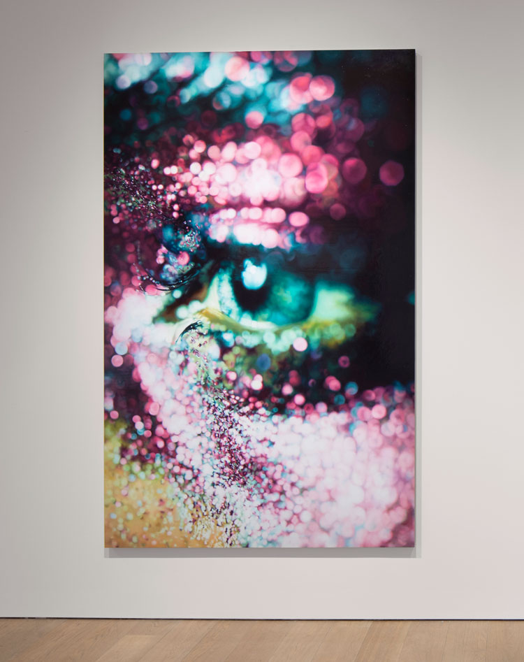 Marilyn Minter, Glazed, 2006. Enamel on metal, 96 x 60 in. Courtesy of the collection of Jeanne Greenberg Rohatyn.