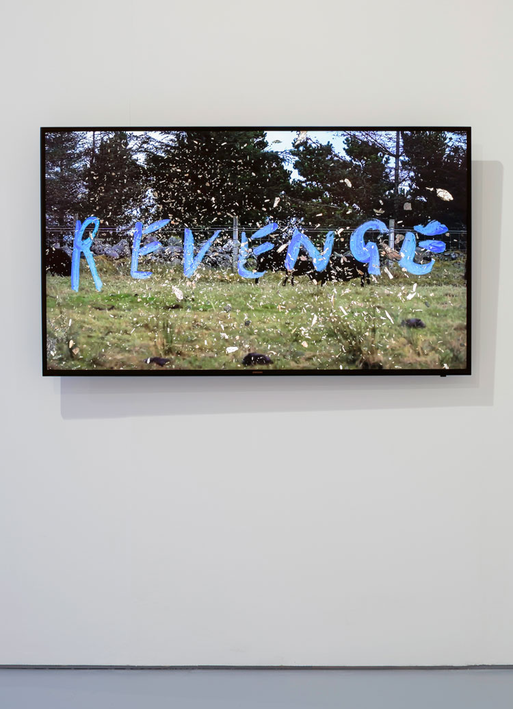 Andrew Black. Revenge Fantasy, 2019. Video, 13 min. Installation view, Dundee Contemporary Arts, 2019. Photo: Ruth Clark.