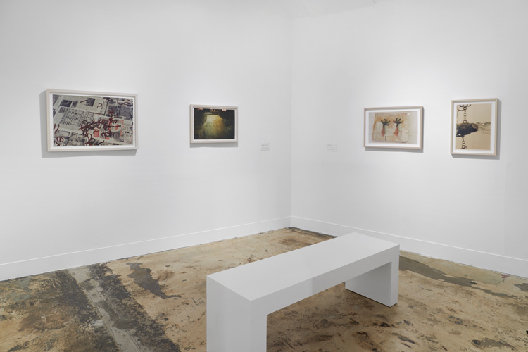 Kiki Smith: I am a Wanderer, installation view, Modern Art Oxford. Photo courtesy Modern Art Oxford.