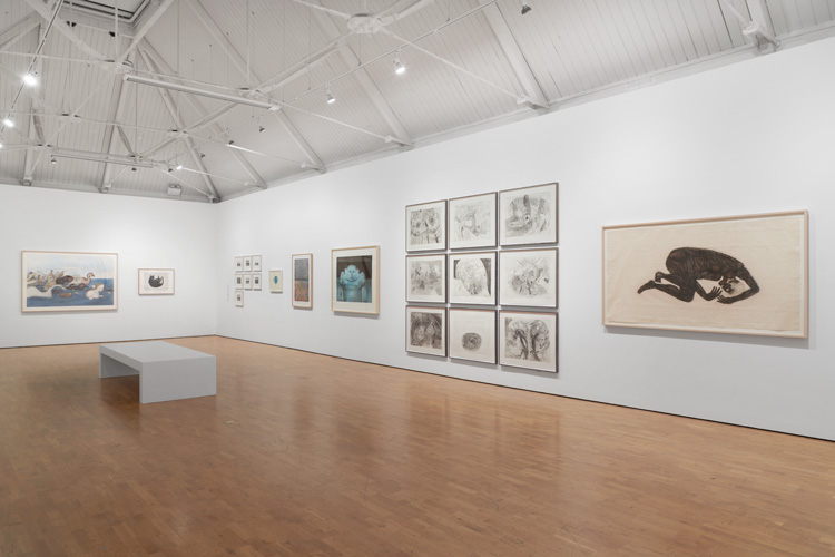 Kiki Smith: I am a Wanderer, installation view, Modern Art Oxford. Photo courtesy Modern Art Oxford.