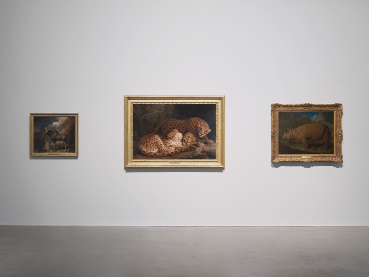 Installation view, George Stubbs: All Done from Nature, MK Gallery, Milton Keynes, 12 October 2019 to 26 January 2020. Photo: Andy Keate.
