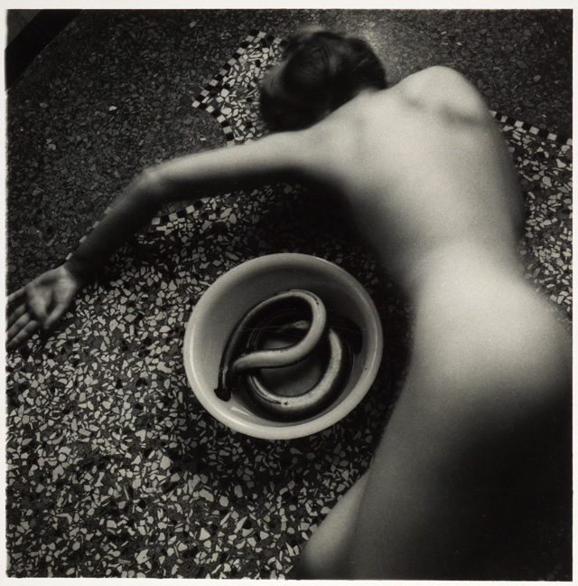 Francesca Woodman - Eel Series 1977-8. Photograph, gelatine silver print on paper, 21.9 x 21.8 cm (paper 35.4 x 27.9 cm). ARTIST ROOMS National Galleries of Scotland and Tate. Acquired jointly through The d'Offay Donation with assistance from the National Heritage Memorial Fund and the Art Fund 2008 © Courtesy of George and Betty Woodman.
