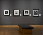 Artist Rooms: Self Evidence – Photographs by Woodman, Arbus and Mapplethorpe, installation view. Photo courtesy Scottish National Portrait Gallery.
