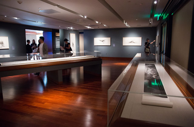 Installation view, Crow Collection of Asian Art in Dallas.