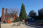 Preparing Christmas tree with explosives by Cai Guo Qiang. Commissioned by the Arthur M. Sackler Gallery and the State Department Art in Embassies Program.